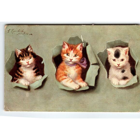 Calico Orange Kitten Cats Postcard German American Novelty 730 Sophie Sperlich - Picture 1 of 2